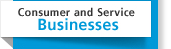 Consumer and Service Businessees